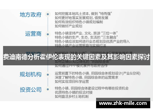 费迪南德分析霍伊伦表现的关键因素及其影响因素探讨